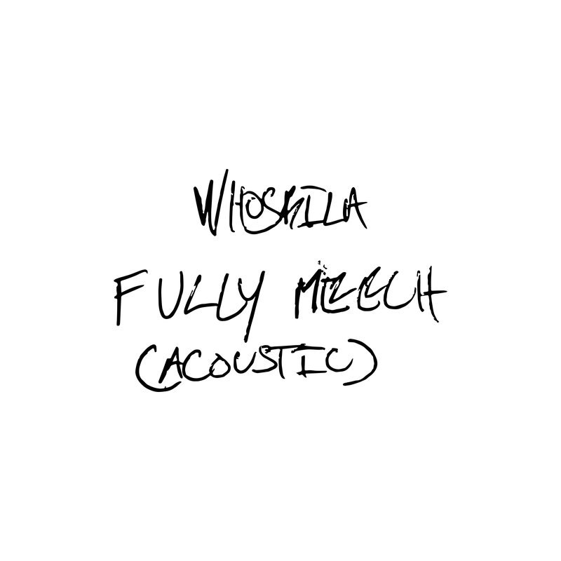 Fully Meech cover art